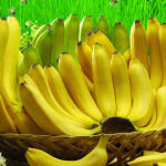 Banany – kalorie i wartości odżywcze oraz ciekawostki i sposoby na wykorzystanie kulinarne i kosmetyczne