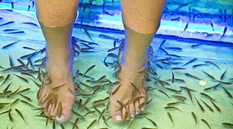 Bangkok, Tajlandia – fish spa – rybki obgryzające martwy naskórek, wirus HIV w promocji ;-)